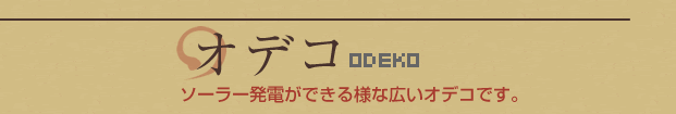 オデコ：ソーラー発電ができる様な広いオデコです。